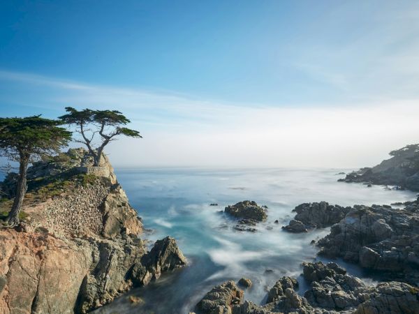 A rocky coastline with jagged cliffs, wind-swept trees perched on the rocks, and a calm sea blending into a bright, clear sky.