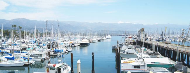 A harbor filled with many moored boats and yachts on calm water, with docks, masts, and distant hills under a blue sky, bustling yet serene.