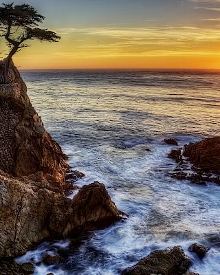 A rugged rocky coast at sunset, a windswept cliff with small trees, waves crashing against jagged stones as the sun sinks over the sea.