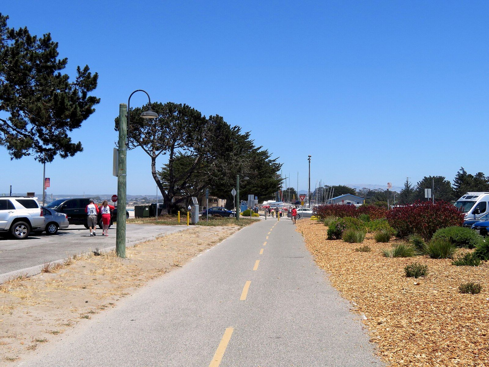 A sunny marina entrance road with parked cars, people walking, and sailboat masts in the distance under a clear blue sky.