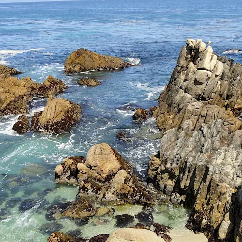 The lawn, rocks, and small beach at Lovers Point Park in Pacific Grove