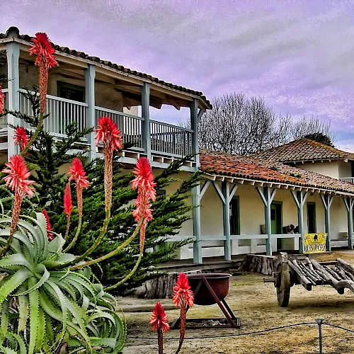 A courtyard with a wooden covered building and columns, red flowering plants and aloe, plus an old wagon wheel in view.